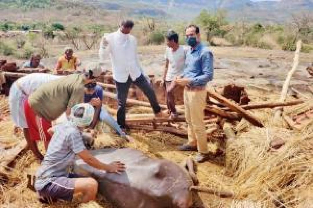 Raigads livestock sector suffers loss of Rs 24.95 lakh in cyclone