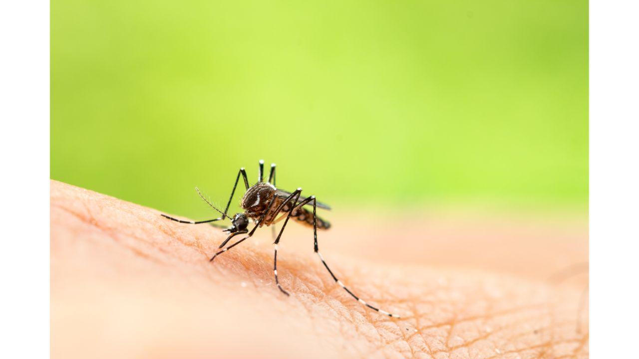 Kerala: Doctor, two others test positive for Zika virus; total cases rise to 22