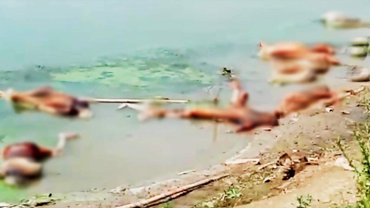 Rains expose more graves in UP, officials hold cremations
