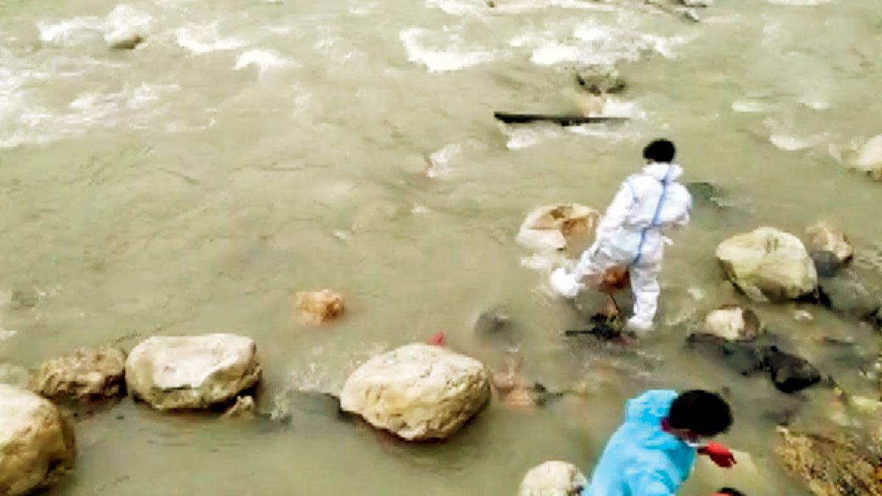 Now, dogs feed on half-burnt corpses at Uttarakhand riverbank