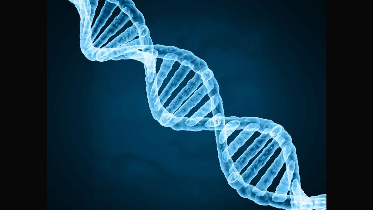 Is DNA data storage feasible in the near future?