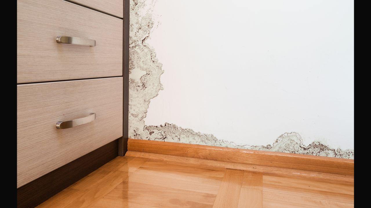 Here’s how to deal with damp walls during the monsoons