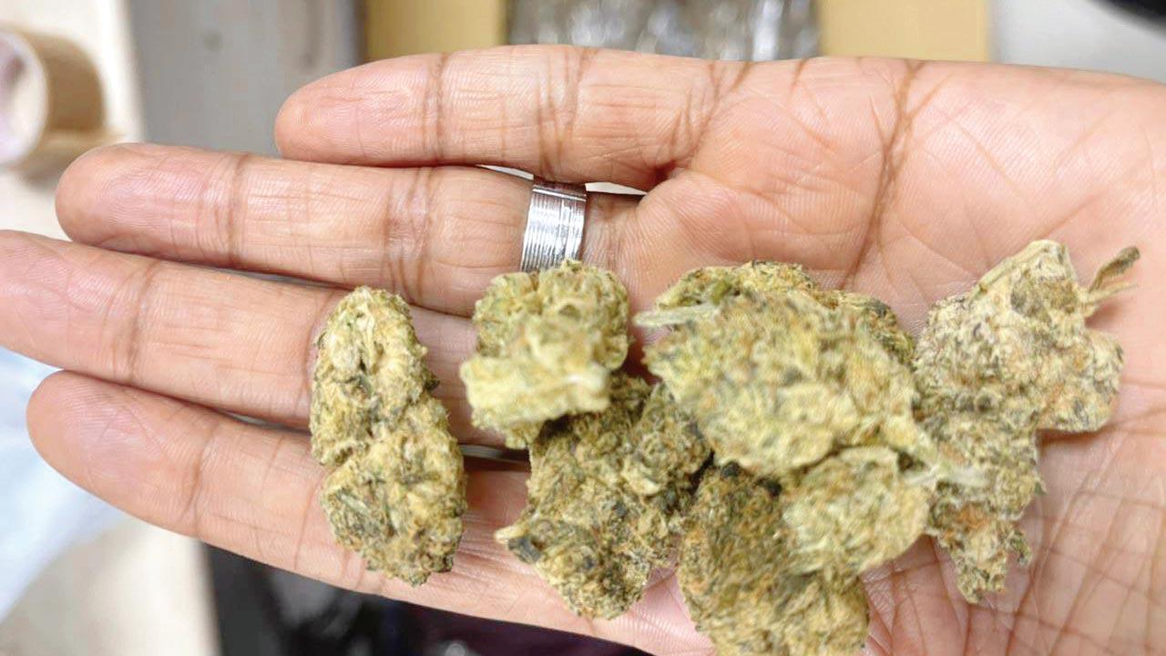 Mumbai Crime: Expensive drug found in ‘essential service’ packet