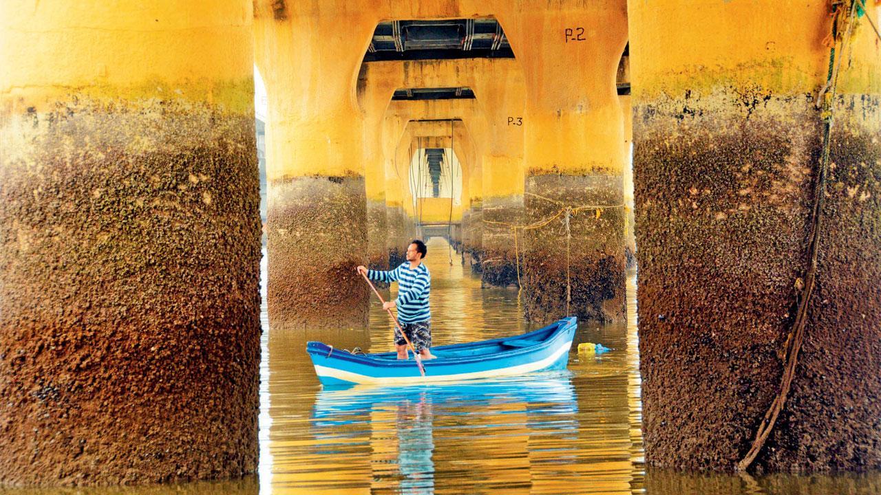 Mumbai Diary: Wednesday Dossier