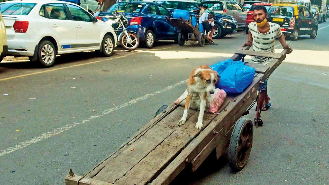 Mumbai Diary: Monday Dossier