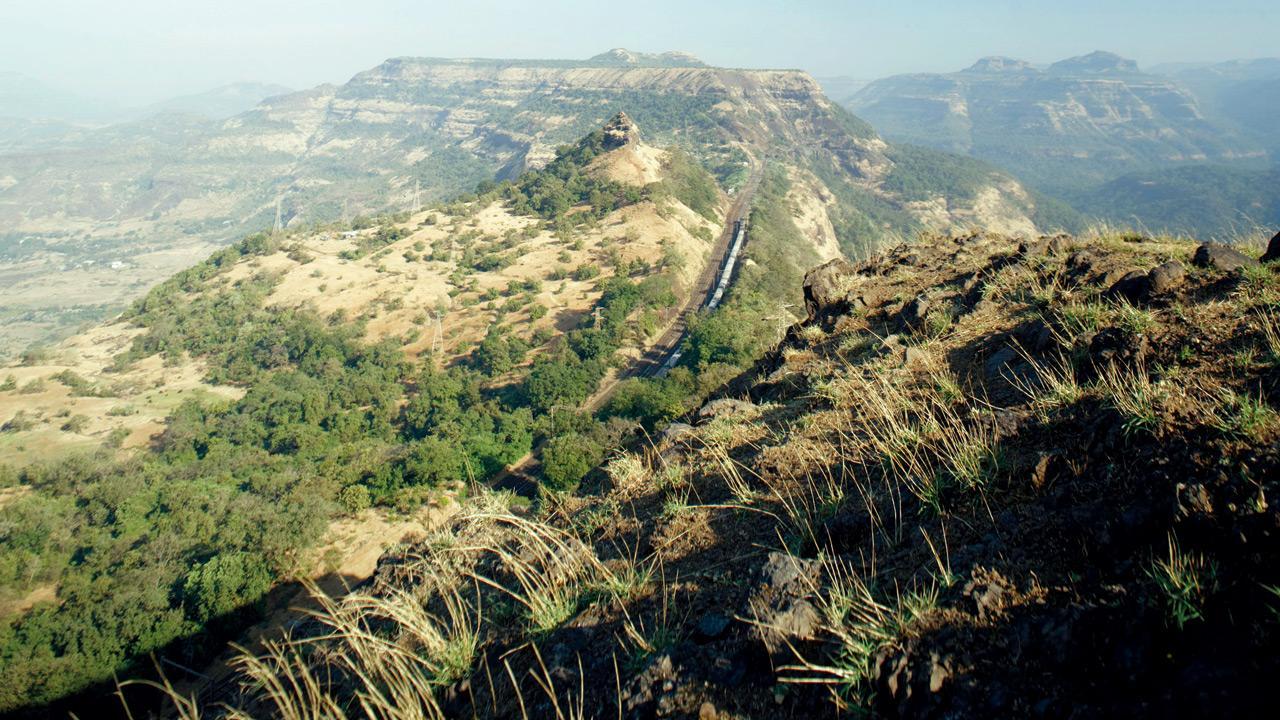Days after he went missing on the job, cabbie’s body found in Lonavala forest