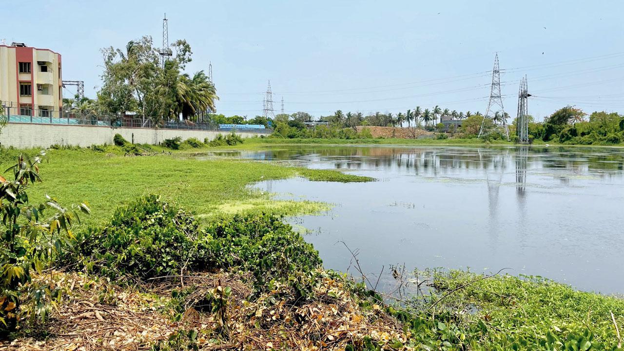 Mumbai: Local environment group seeks wetland status for Lokhandwala lake