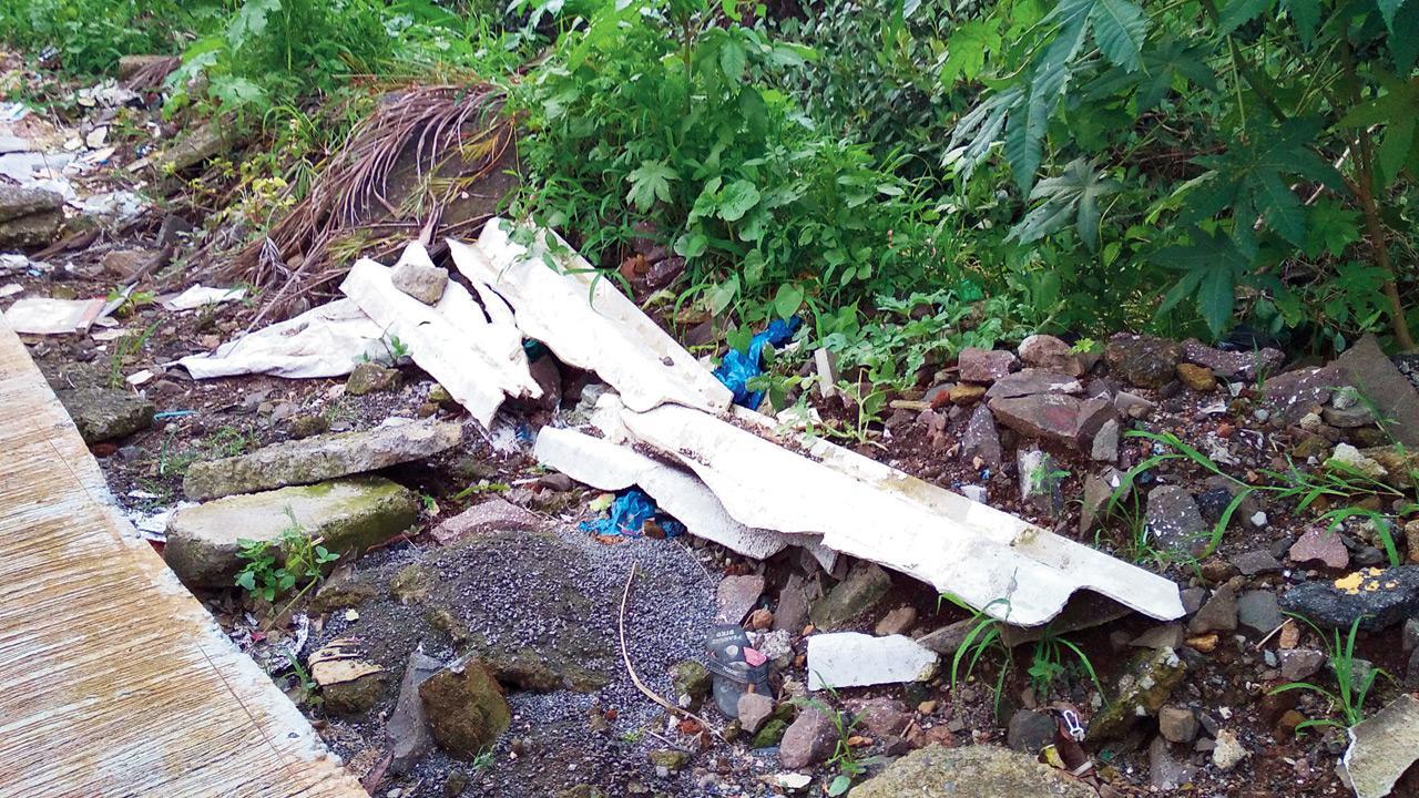 Activist raises alarm over mangrove-killing in Kharghar, Kamothe