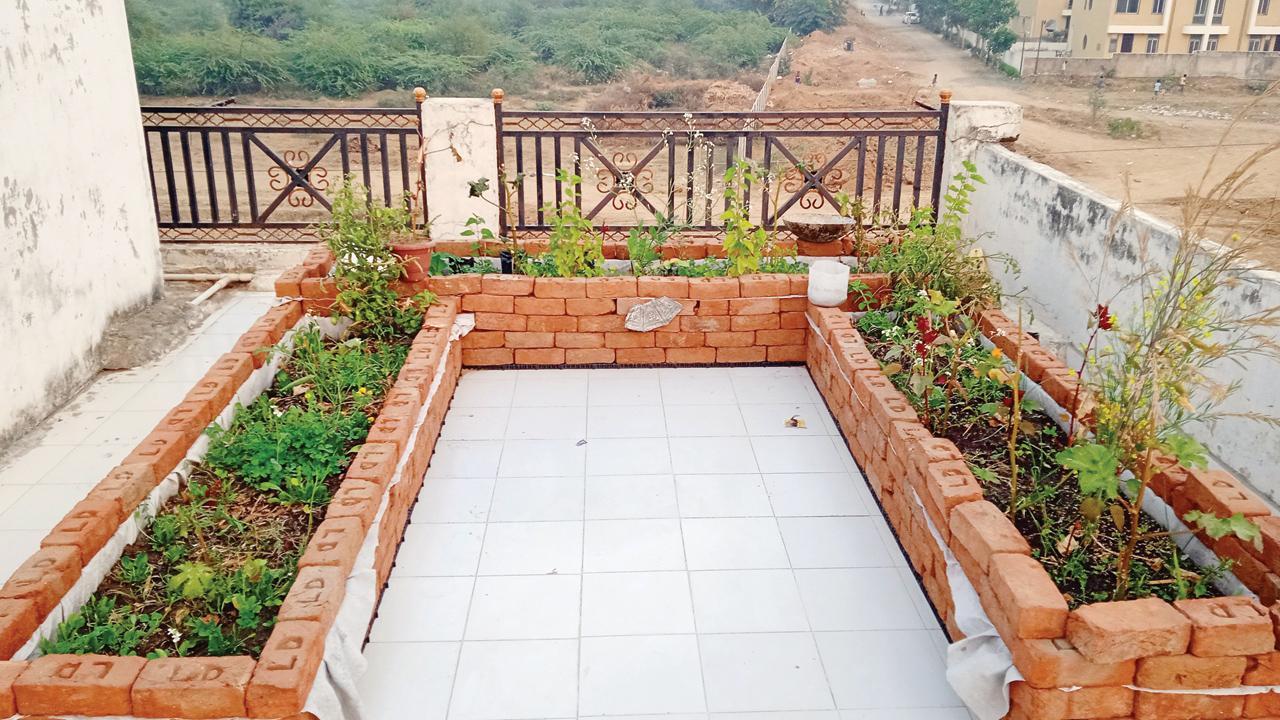 Paint my backyard green