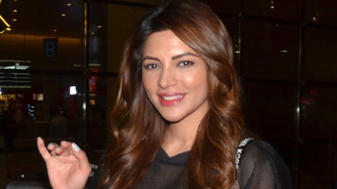 Shama Sikander: This pandemic allowed me to do a lot of meditation