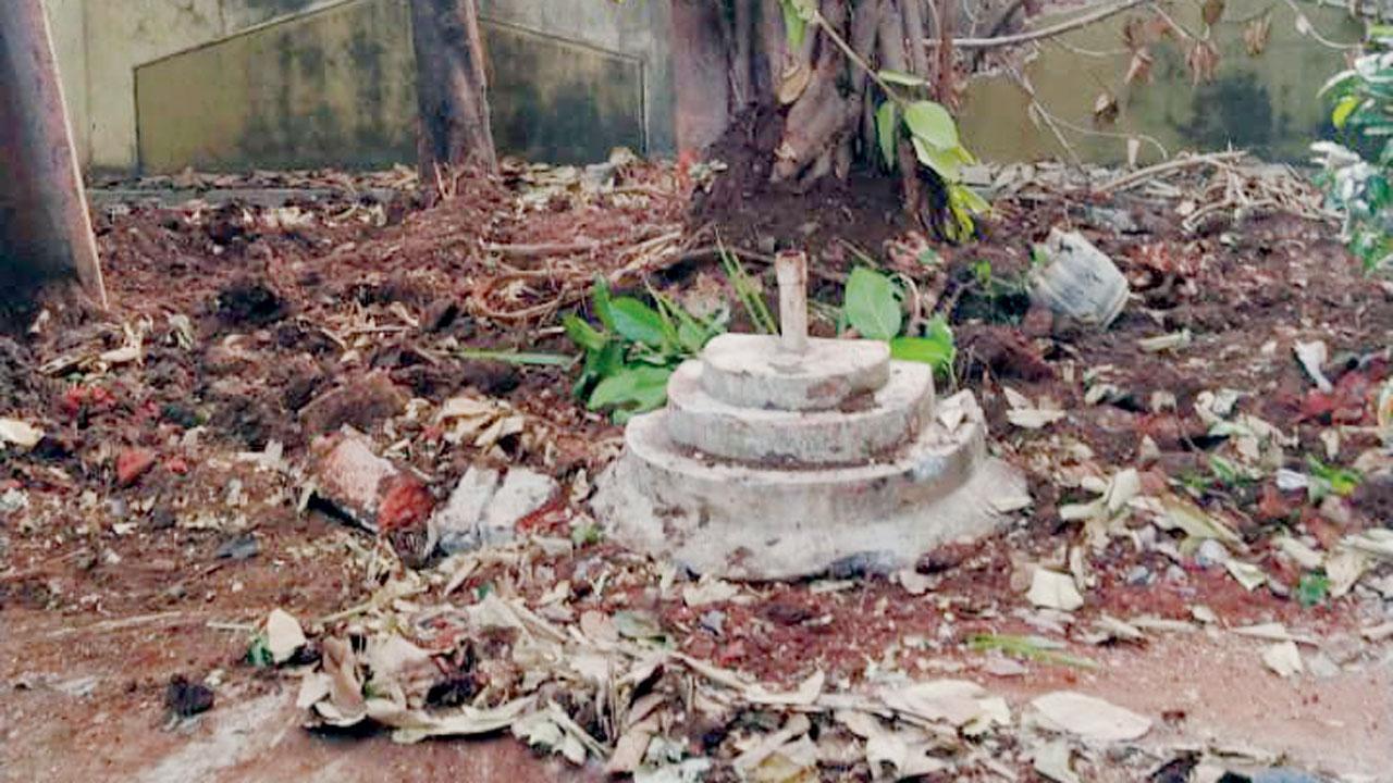 BMC tells Mulund society to pay for trimming tree