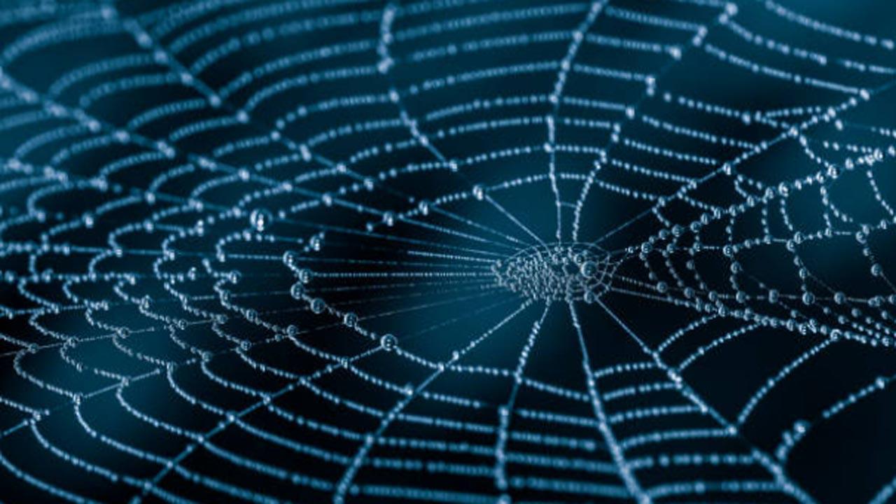 Vegan spider silk a sustainable alternative to single-use plastics?