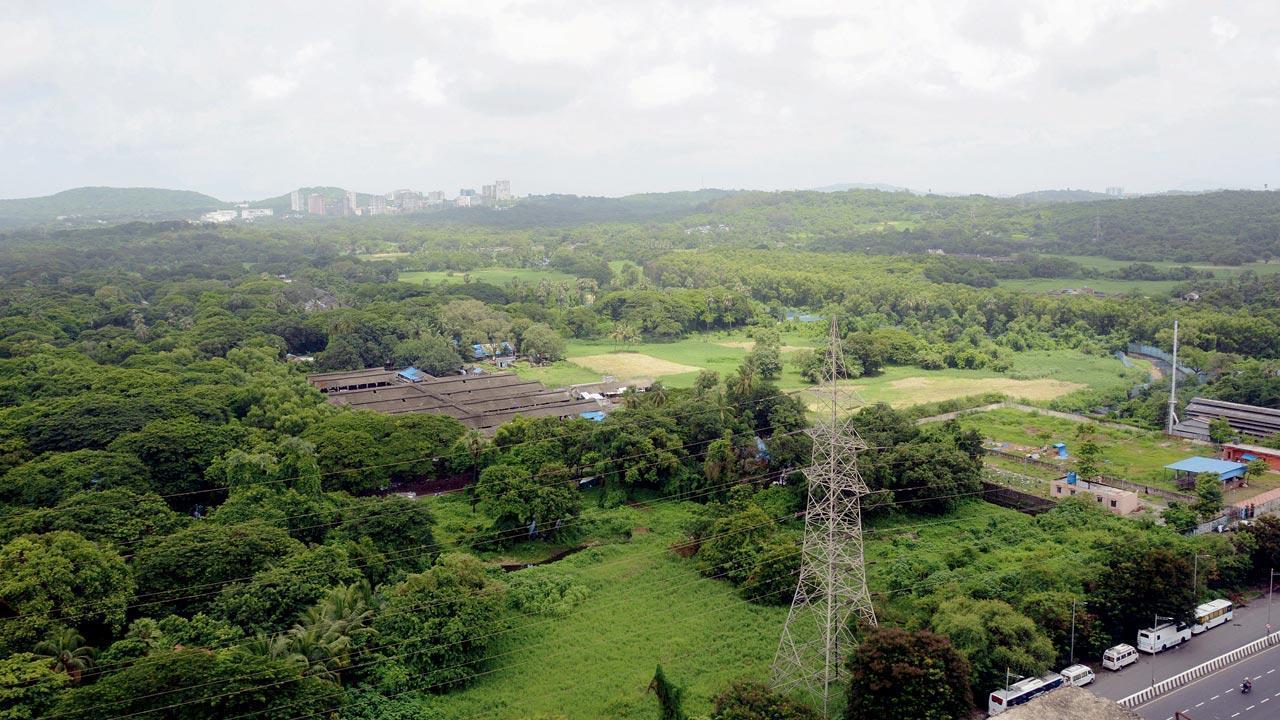 Mumbai: 286 hectares of Aarey land handed over to Maharashtra govt