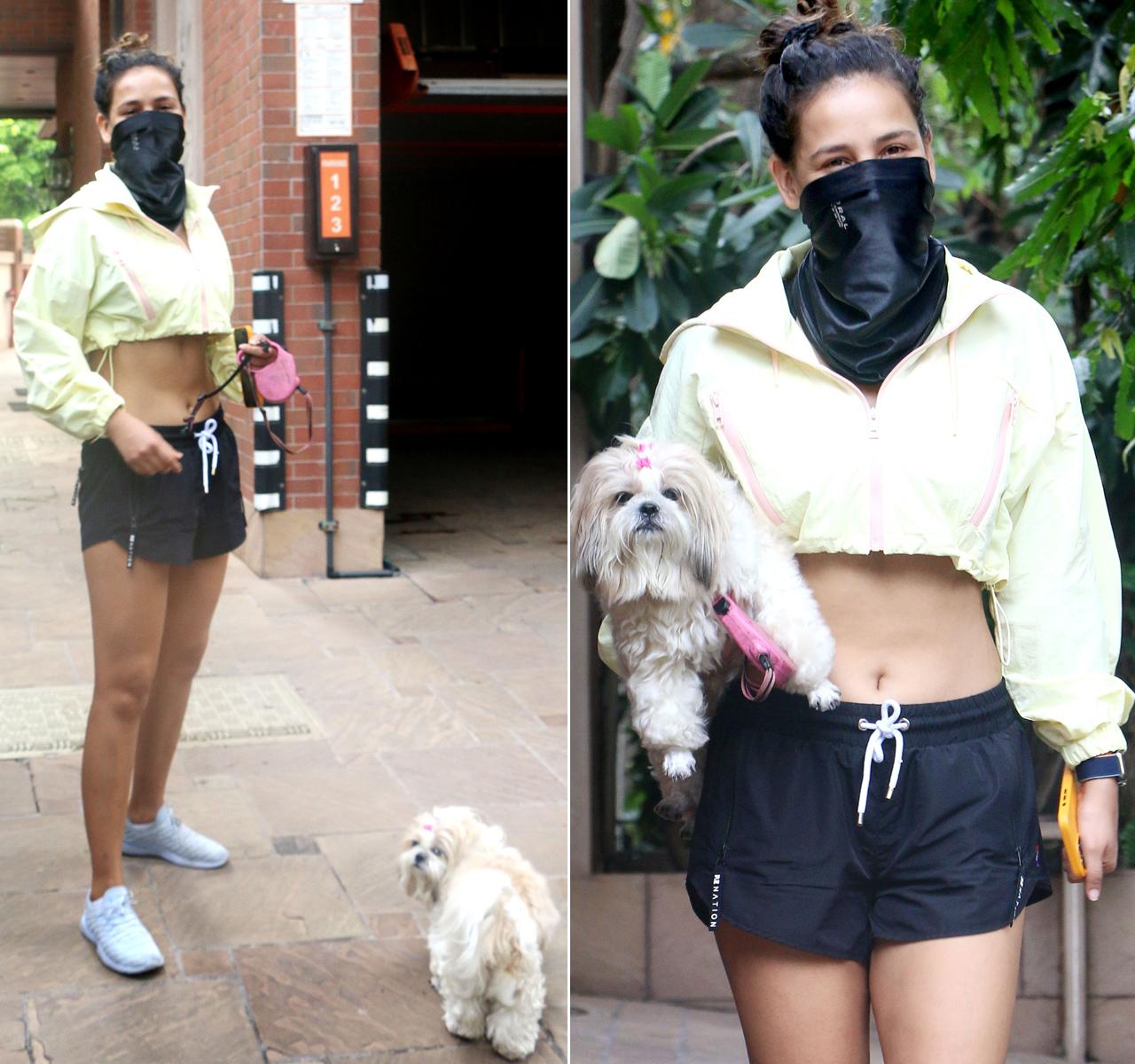 Aisha Sharma, Bandra