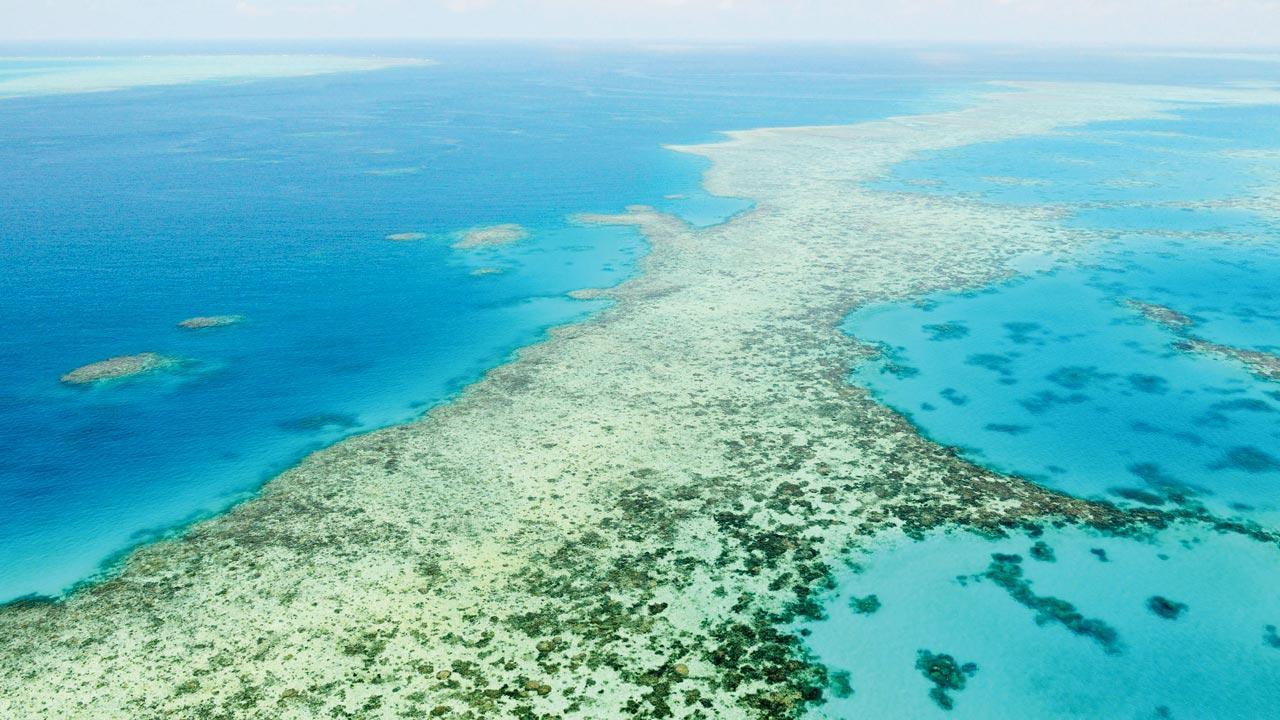 Australia fights UN downgrade of Great Barrier Reef health