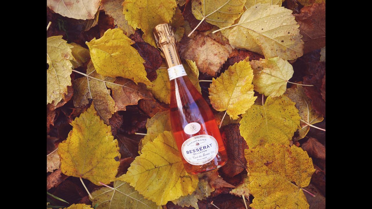 Wine expert on all things rosé and global variants you should try