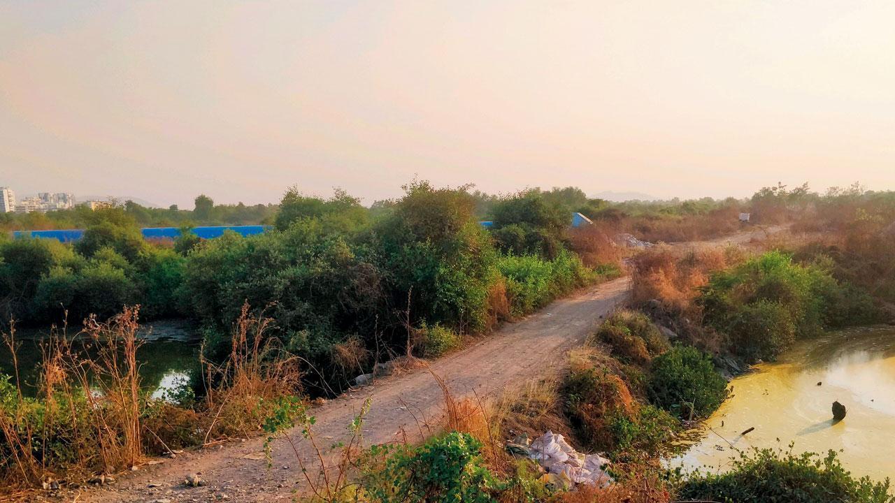 Navi Mumbai: CIDCO to sell 12 large plots