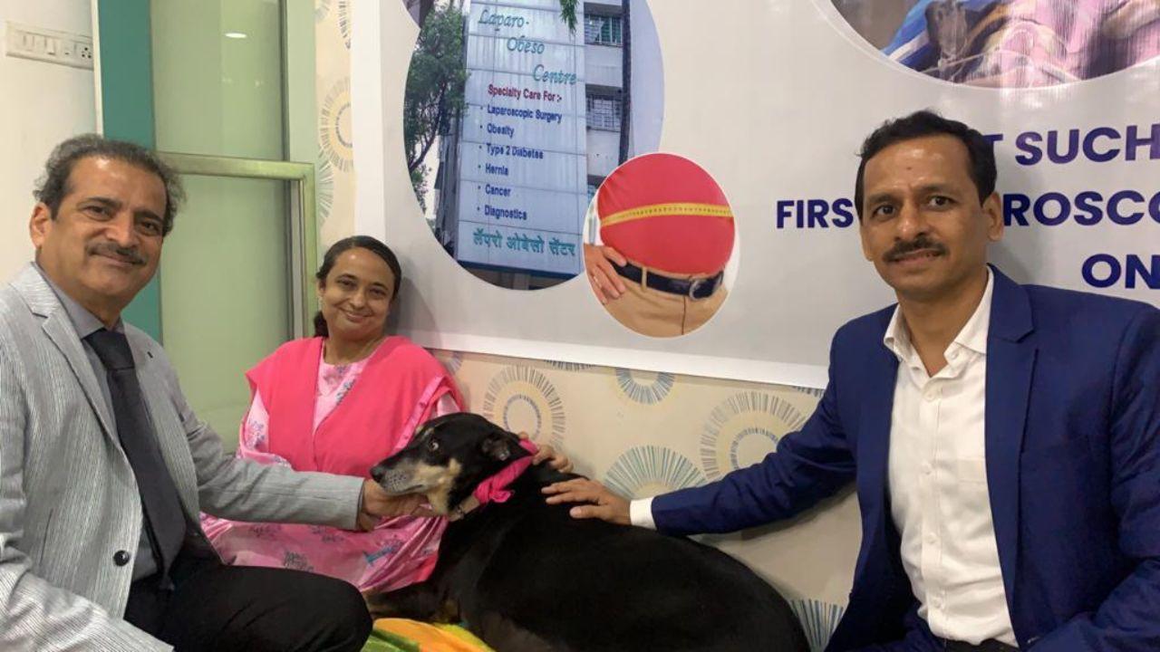 Mumbai: In a first, surgeon for humans performs obesity operation on dog