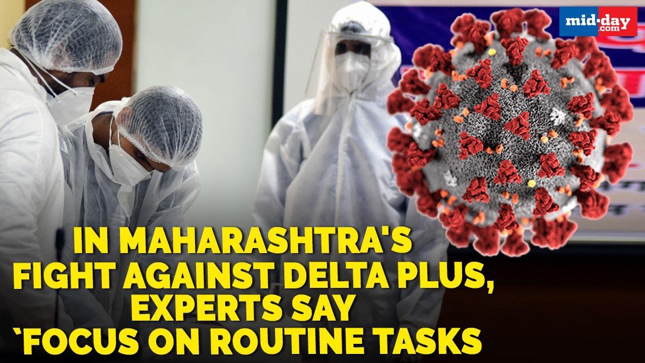 In Maharashtra's fight against Delta Plus, experts say 'focus on routine tasks'