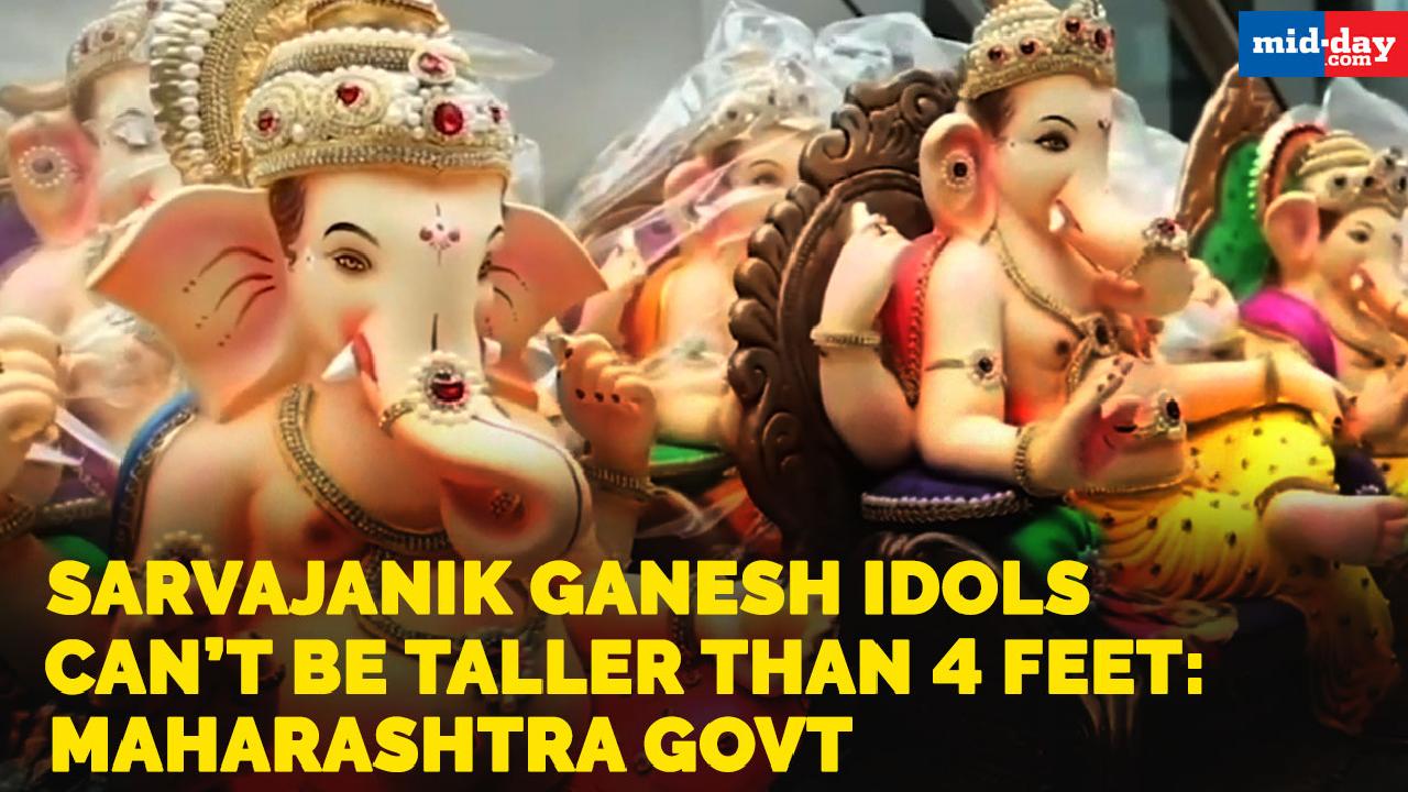 Sarvajanik Ganesh idols can’t be taller than 4 feet: Maharashtra govt