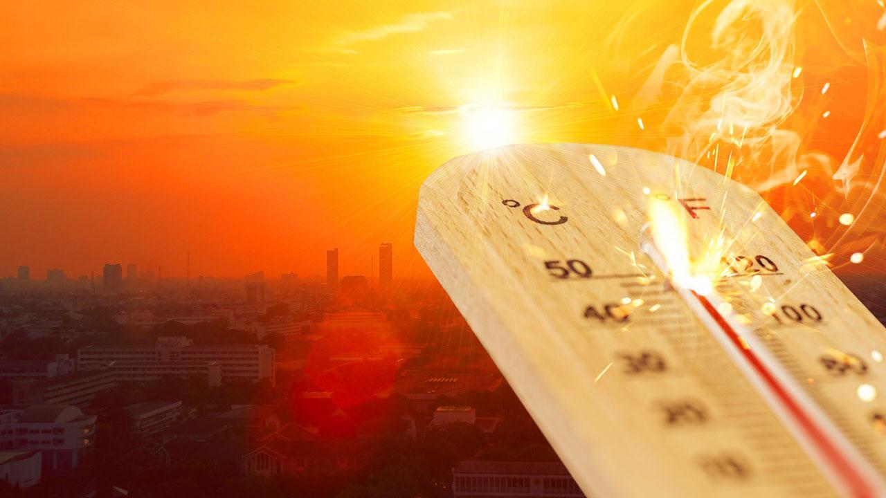 'Human-induced' climate change responsible for nearly a third of heat deaths: Study