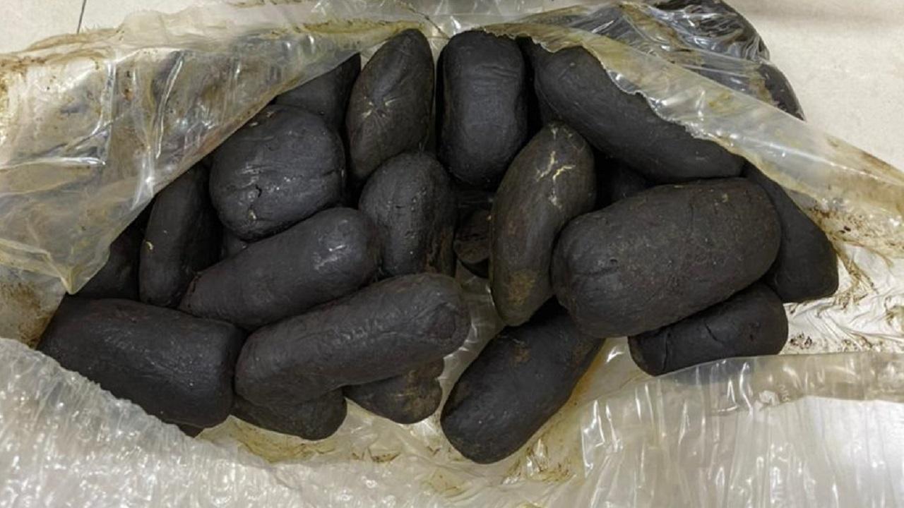 Hashish worth Rs 9 crore being smuggled from Jammu & Kashmir seized in Mumbai: NCB