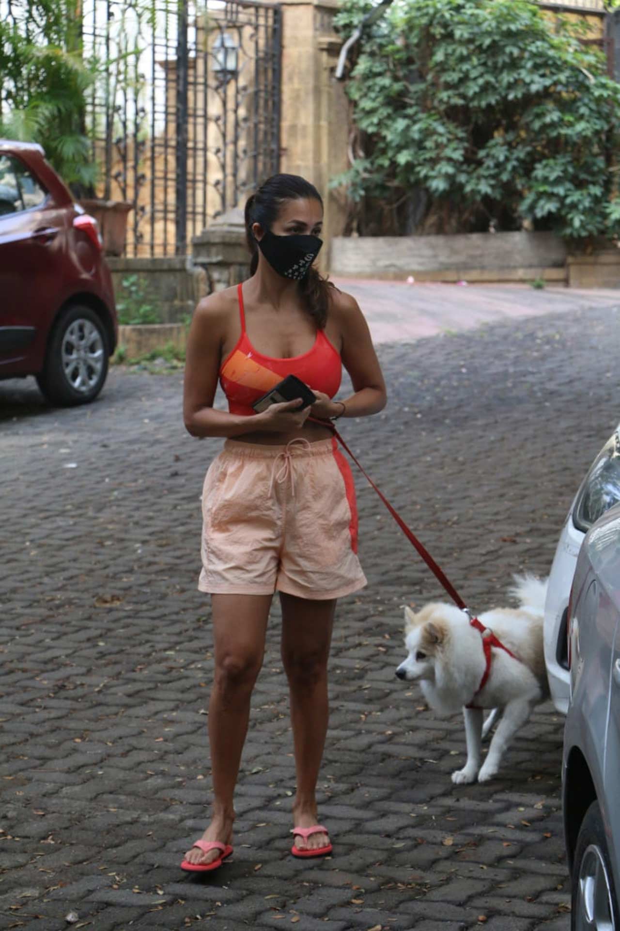 Malaika Arora was snapped walking her pet Casper on the streets of Bandra, Mumbai. Malaika sported a tangerine monochrome athleisure for the outing. All pictures/Yogen Shah