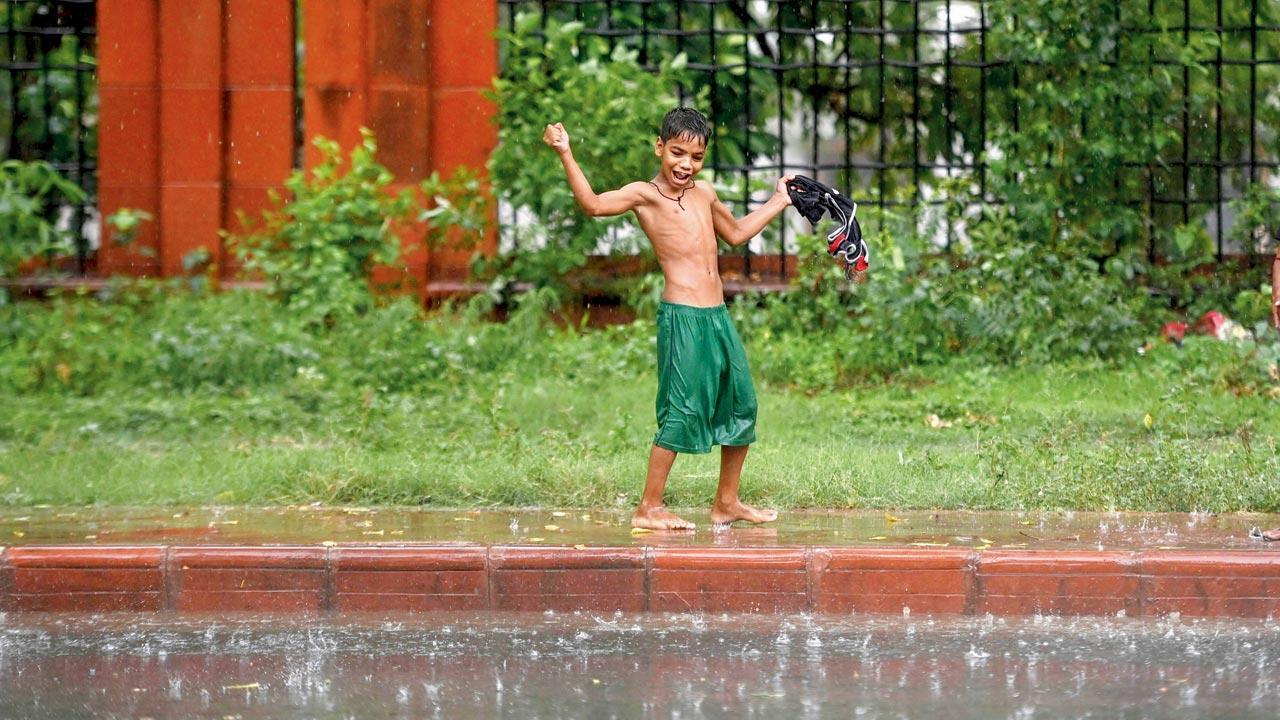 Monsoon may progress slowly into Gujarat, UP: IMD
