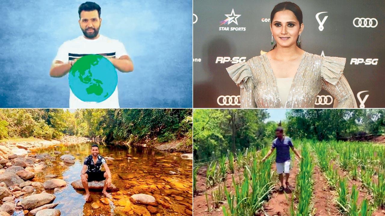  World Environment Day: ‘Protect mother earth,’ say Indian sports stars