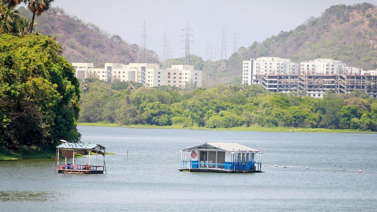 Mumbai Rains: Powai lake overflows due to heavy rains