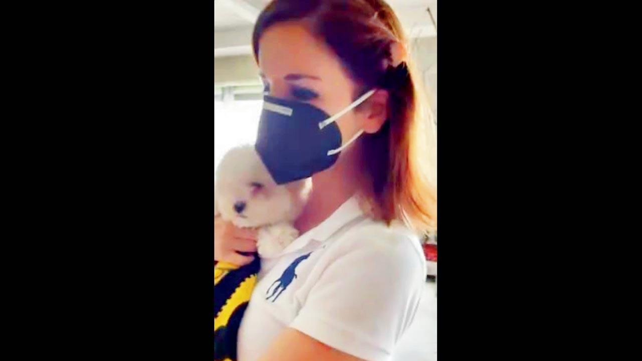 Meet the newest member of Sussanne Khan's family, her adorable pet Malibu