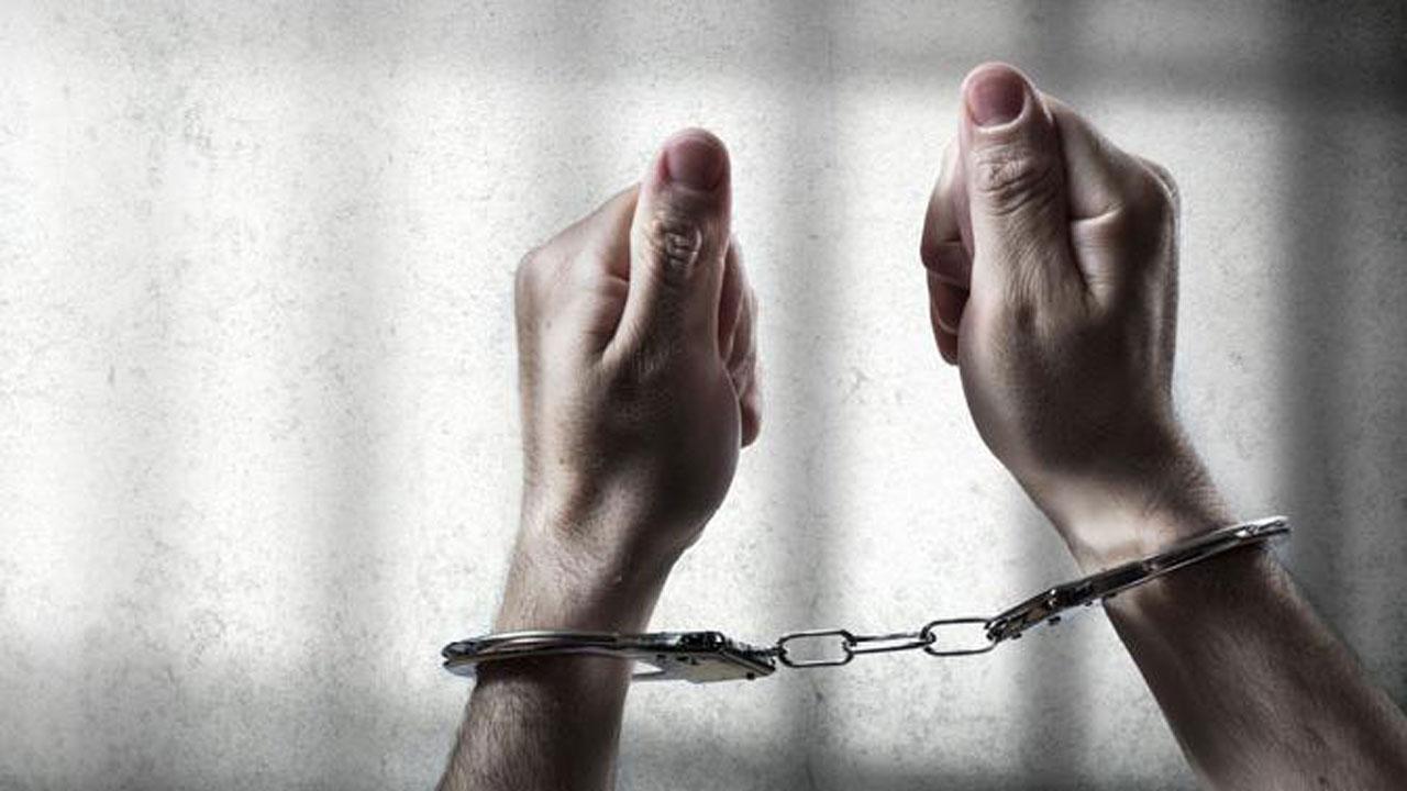 Tripura: Drugs worth Rs 10 lakh seized, one arrested