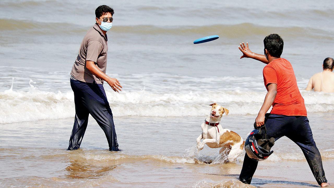 Mumbai Diary: Tuesday Dossier