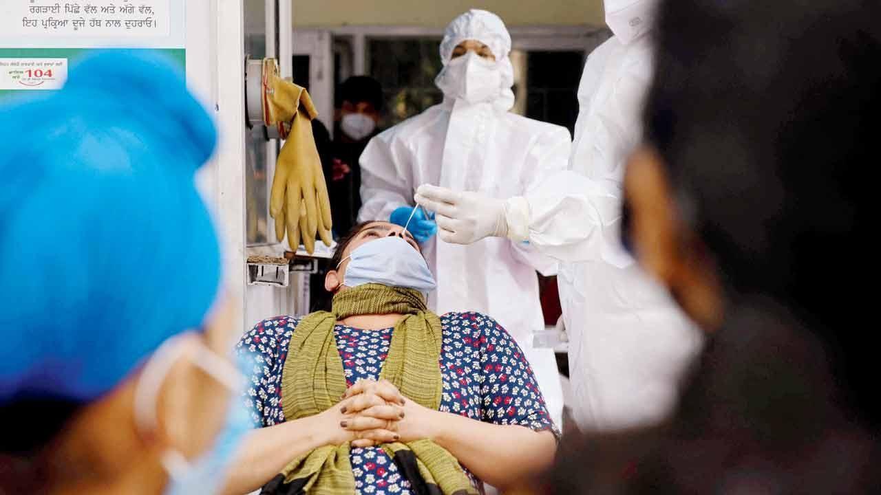 India logs over 24,000 coronavirus cases again, infection rate nears 2 per cent