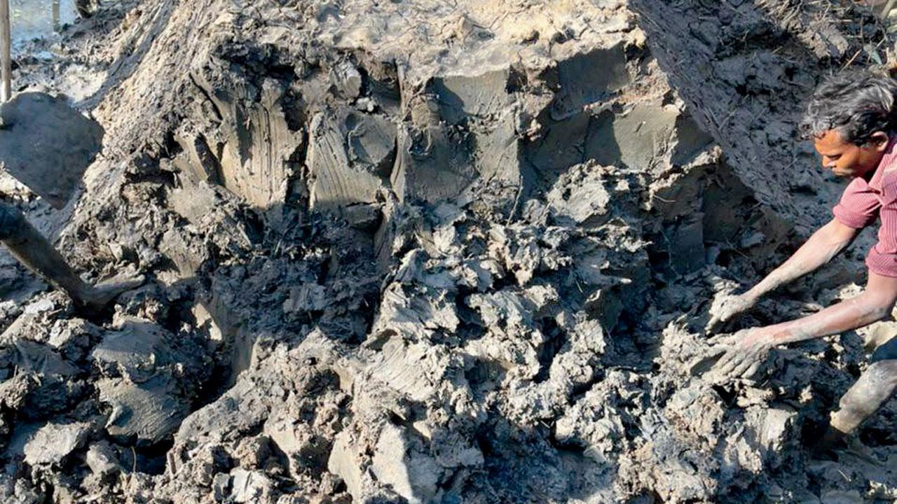 Mumbai: Authorities break illegally built bund to save mangroves forest in Dahisar