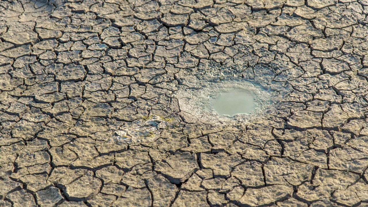 ‘Warming will increase frequency of flash droughts’