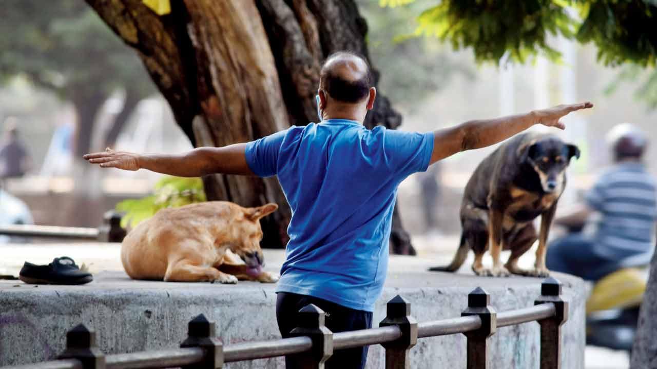 Mumbai Diary: Monday Dossier