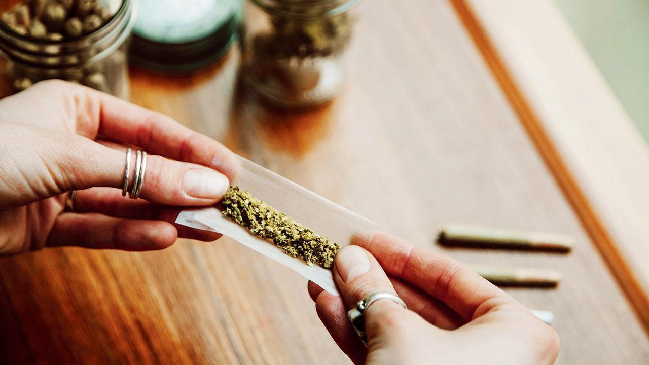 Thane crime: Ganja worth Rs 9.57 lakh seized; two booked