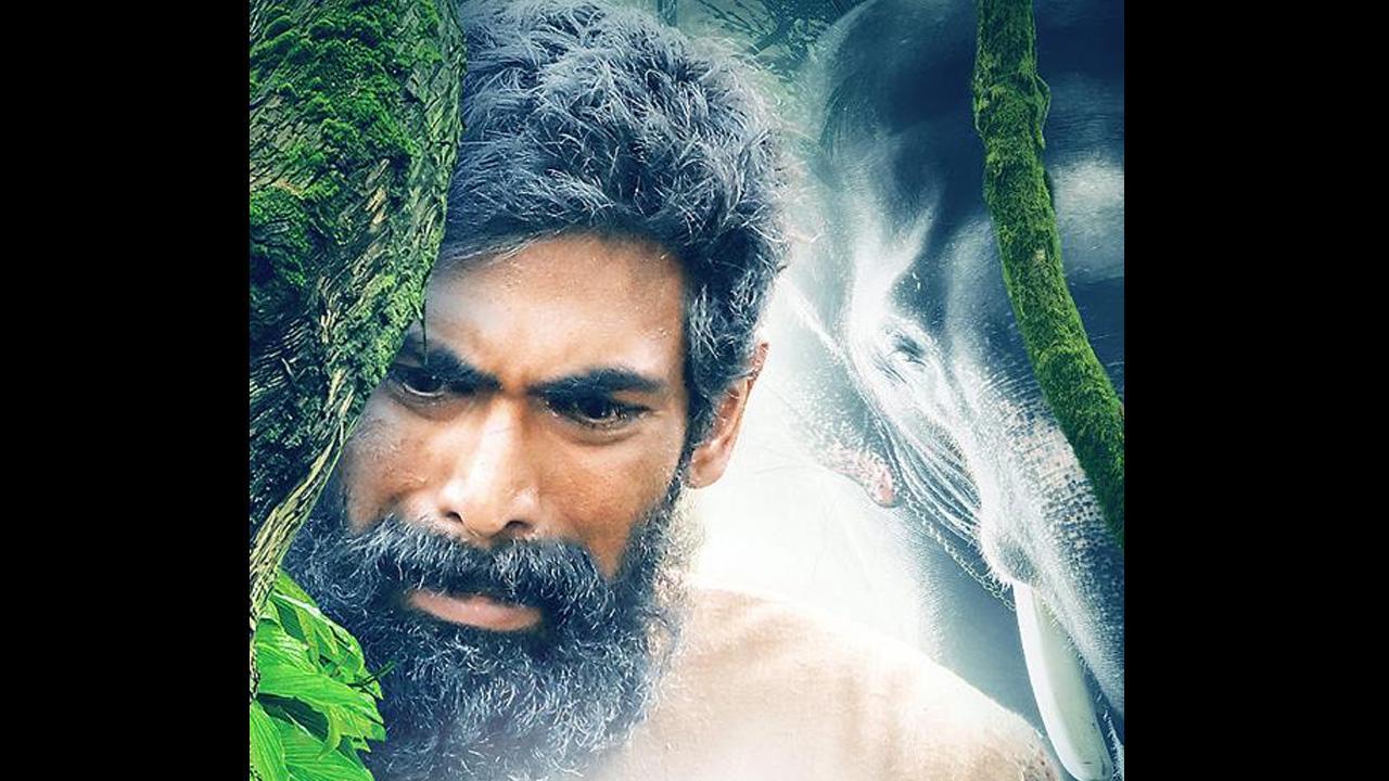 Ae Hawa song from Haathi Mere Saathi out