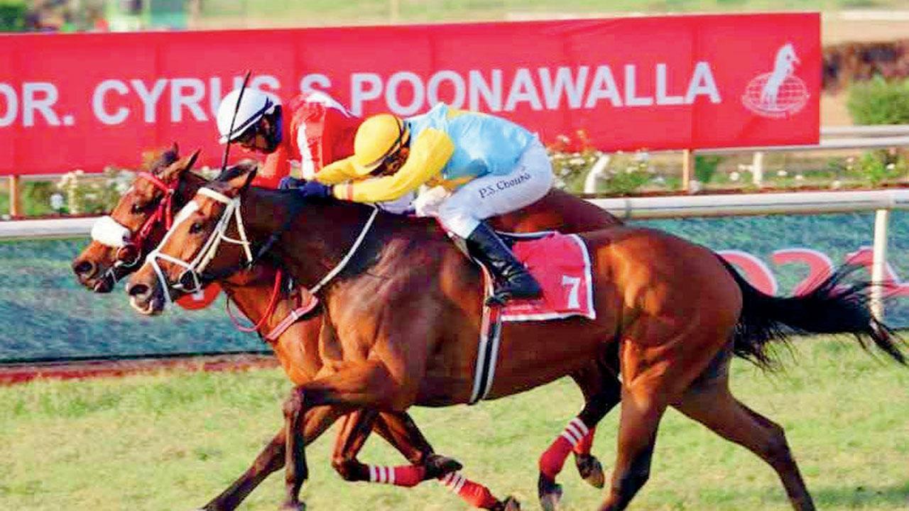 Indian Derby 2021 set to be a sedate affair