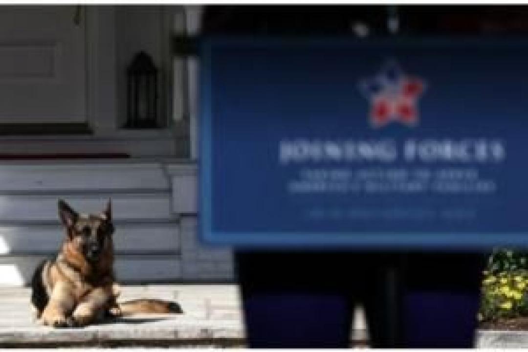 Joe Biden's dogs sent back to Delaware after 'biting incident' at White House