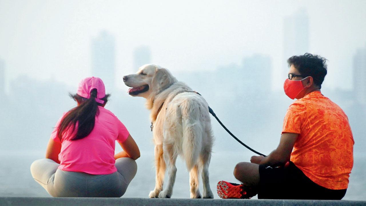 Mumbai Diary: Sunday Dossier
