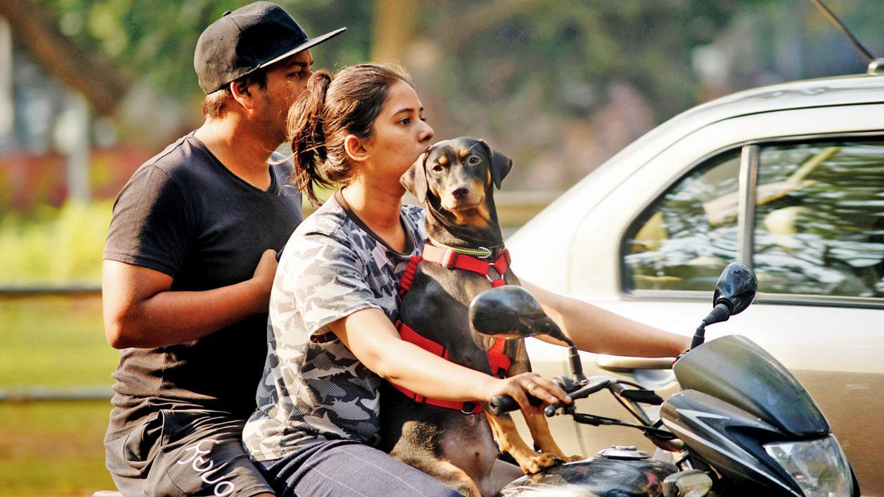 Mumbai Diary: Monday Dossier