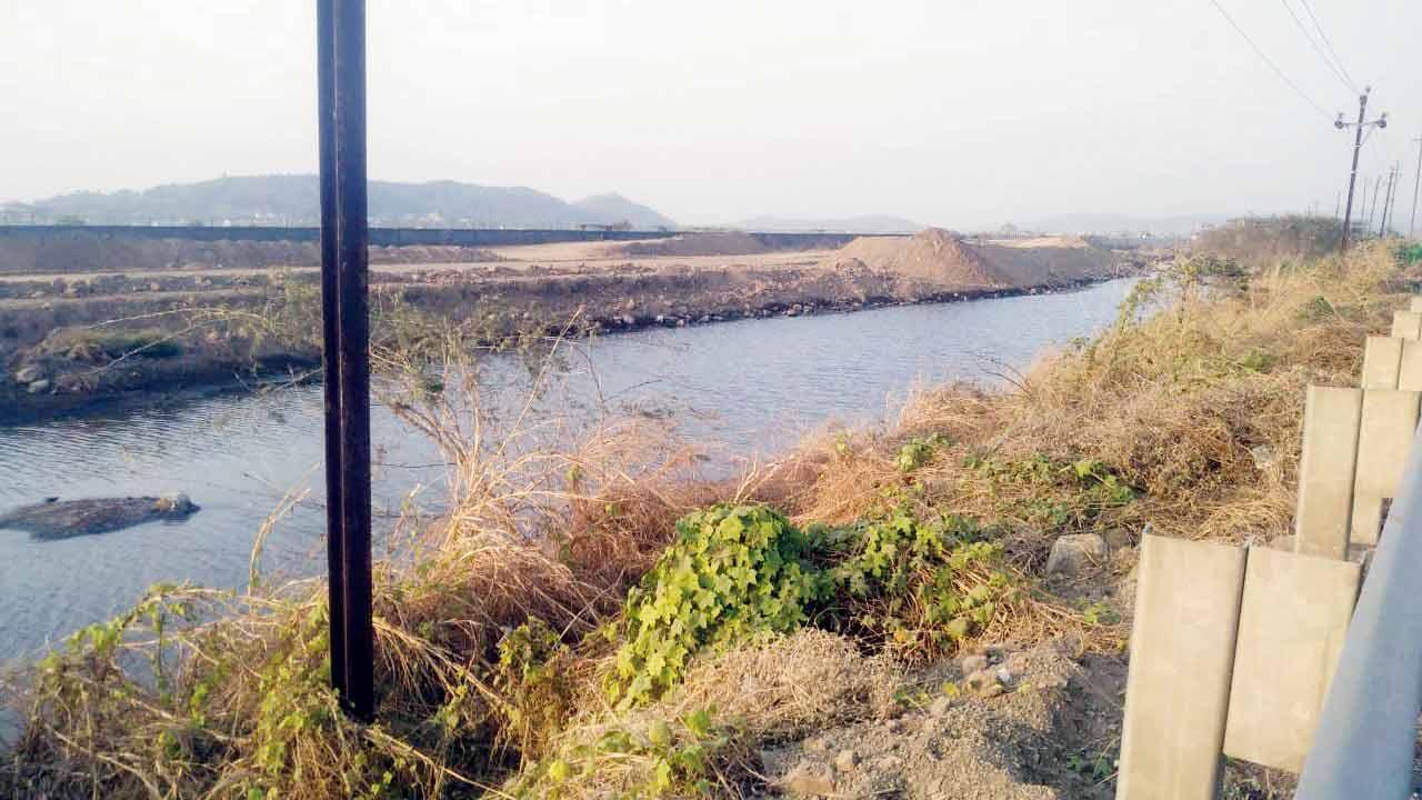 JNPT killing Uran wetlands in Mumbai Metropolitan Region: Environmentalist