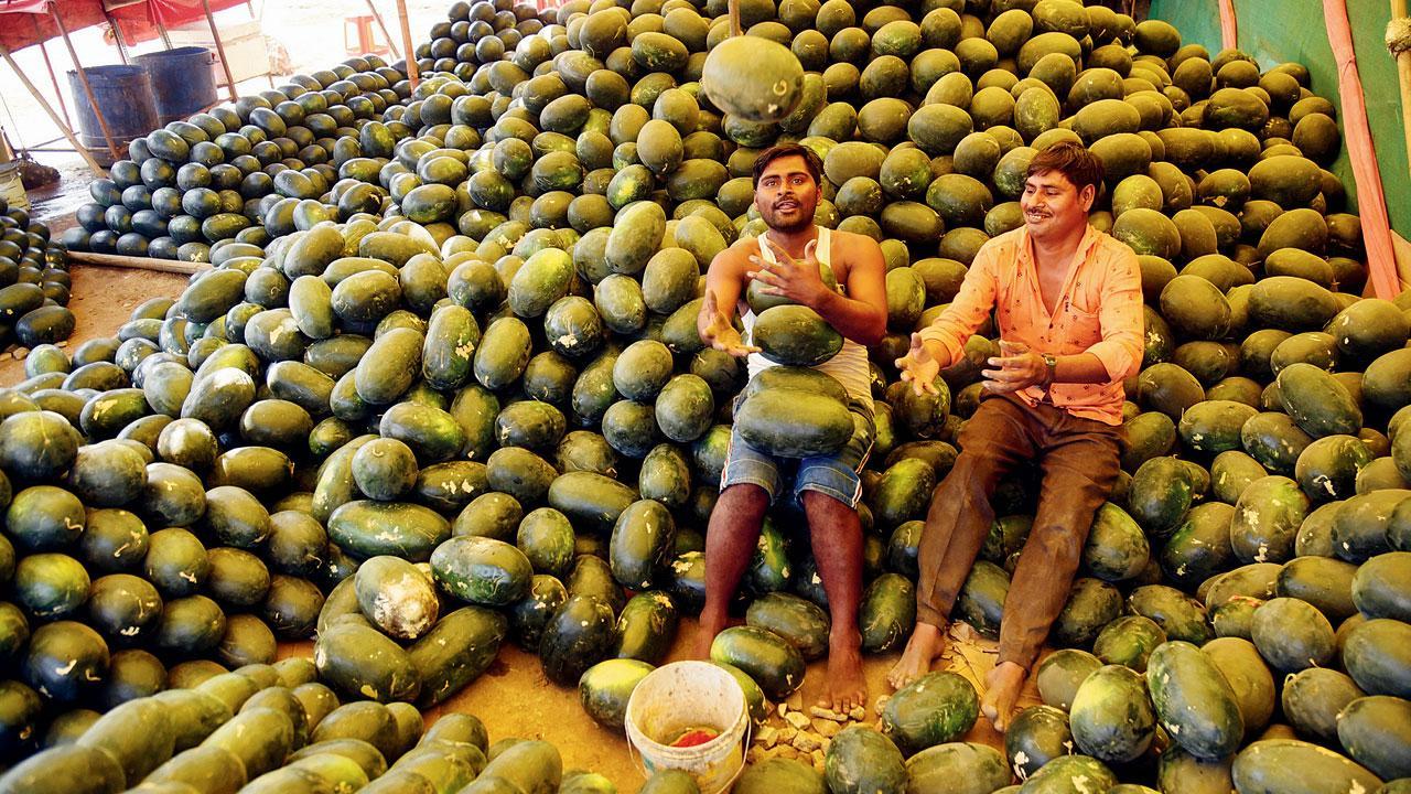 Mumbai Diary: Wednesday Dossier