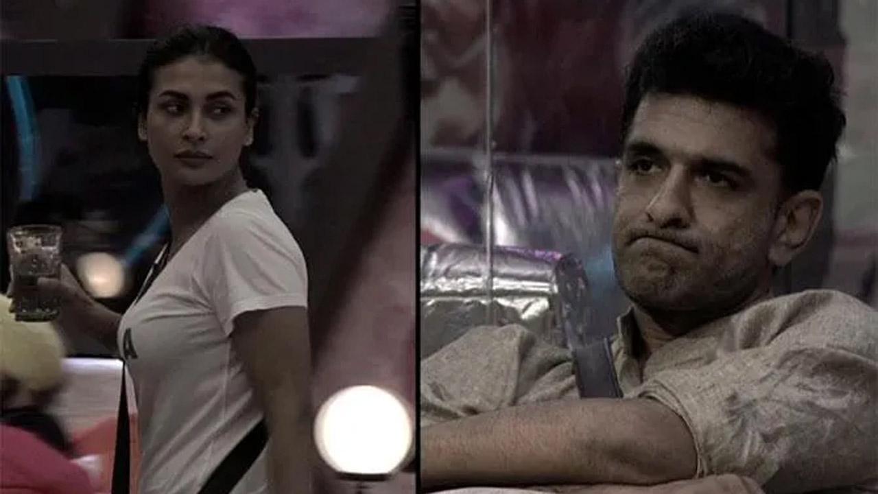Pavitra Punia to trolls questioning her relationship with Eijaz Khan: We don't need approval