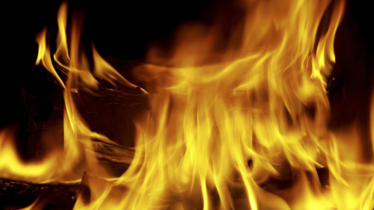 Maharashtra: Fire at industrial unit in Badlapur, no casualty