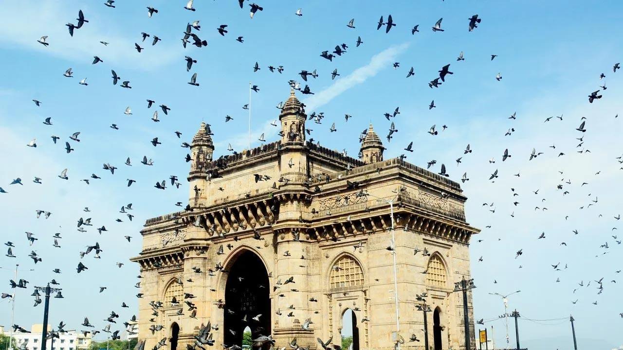 There has to be a way to save the Asiatic Society