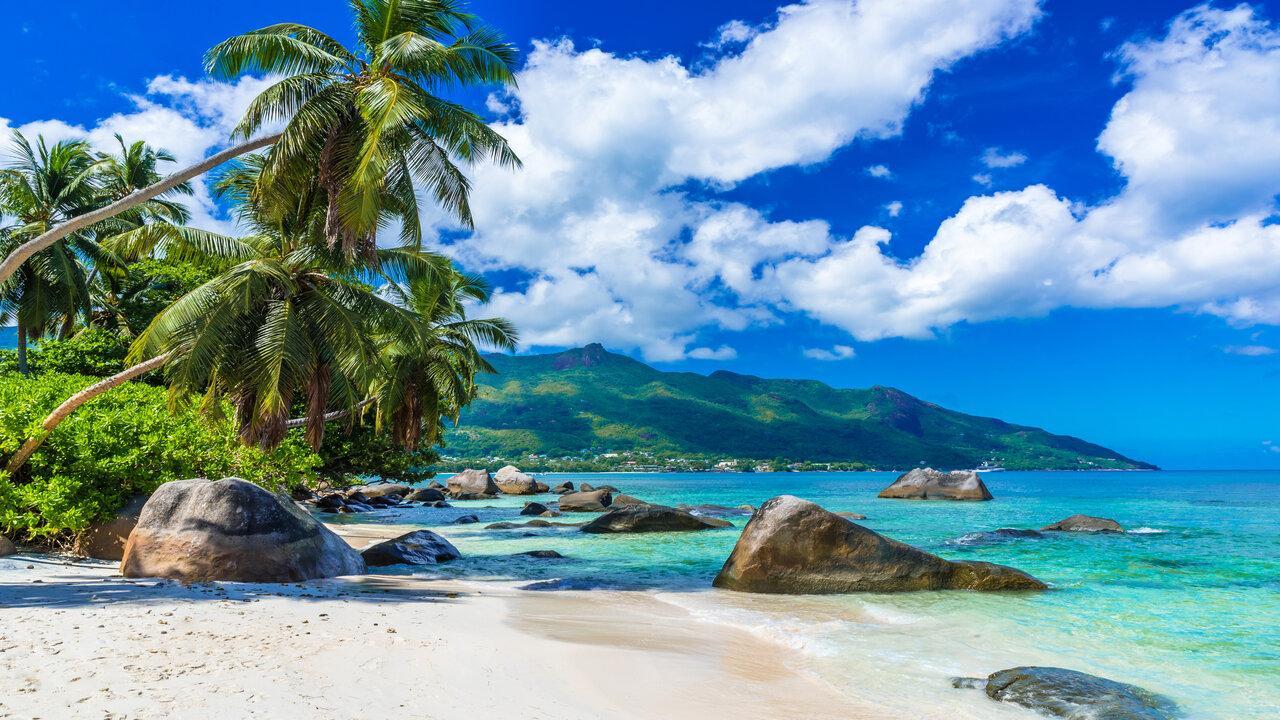 Seychelles to open up to the world from March 25