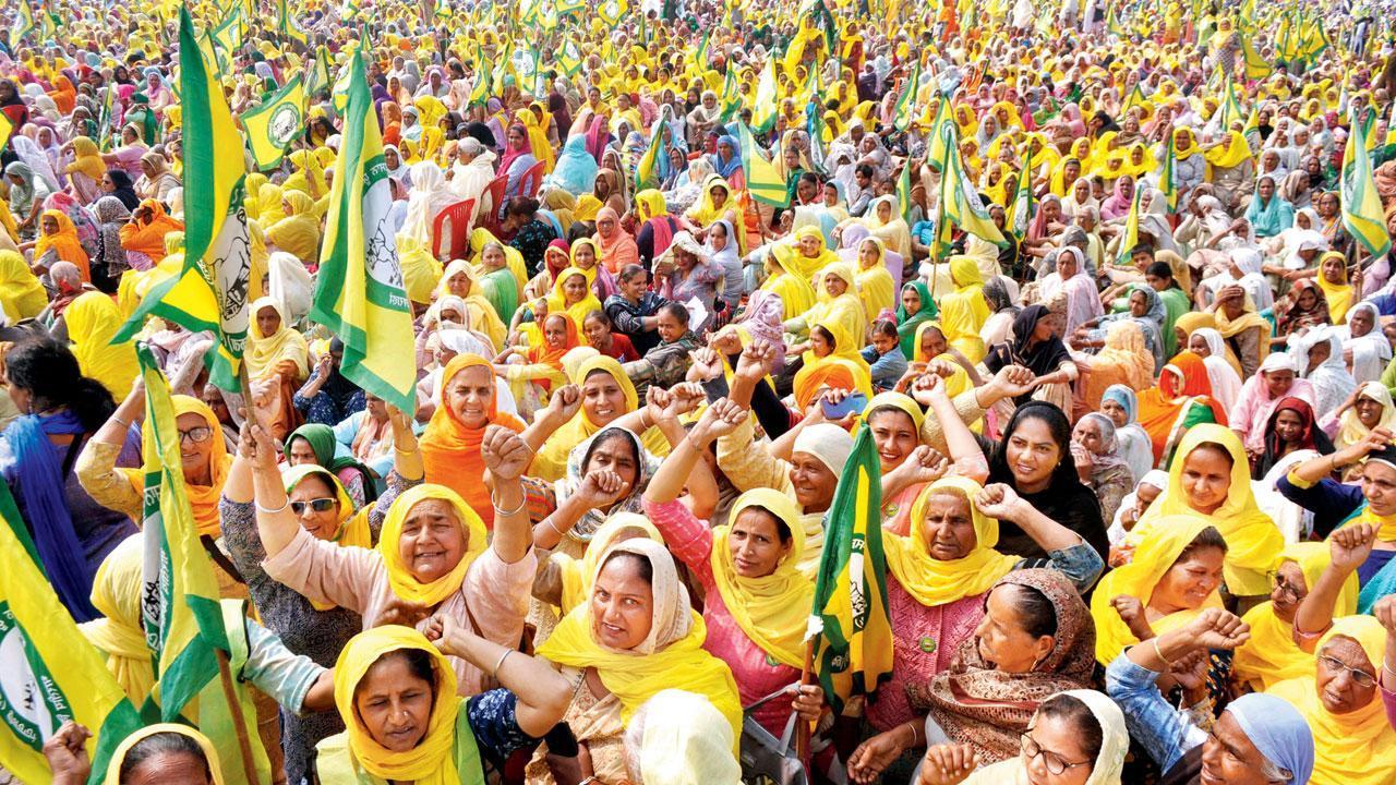 Women farmers sport mehendi with 'protest' slogan at Ghazipur